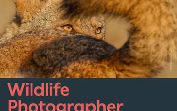 Wildlife Photographer of the Year