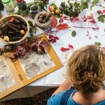 Démonstrations autour des couleurs végétales par l'artiste Julia Paget-Teixeira au musée de Vierzon