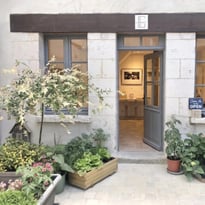Visite guidée de l'exposition de Josef Ofer