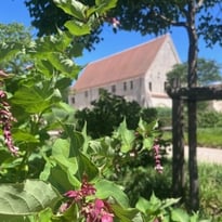 Un jardin, une couleur