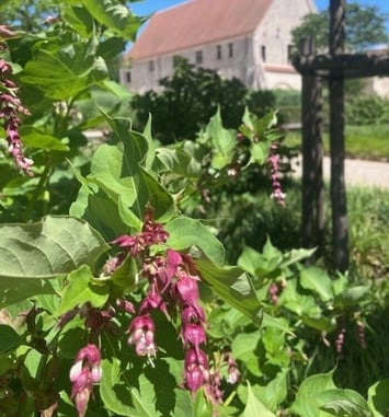 Un jardin, une couleur