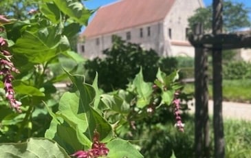 Un jardin, une couleur