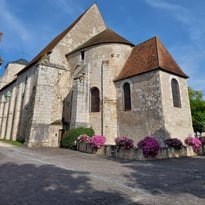 Visite guidée de la Collégiale Saint-Martin