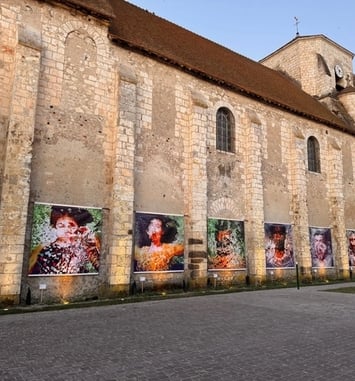 Découverte accompagnée des expositions extérieures