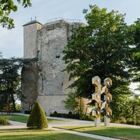 Regards sur la Tour I Photographie et renaissance d'un monument historique