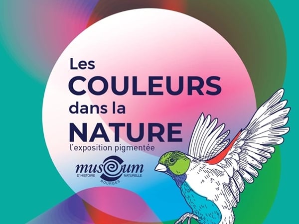 Exposition Les couleurs dans la nature