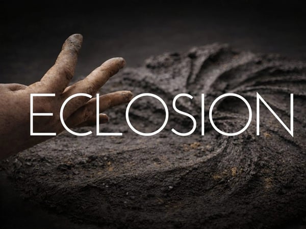 Exposition Éclosion